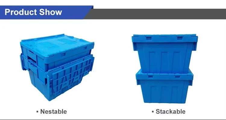 Customizable Plastic Slant - Insert Logistics Box high quality